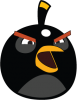 Angry Birds Black 002