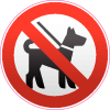 C животными запрещено